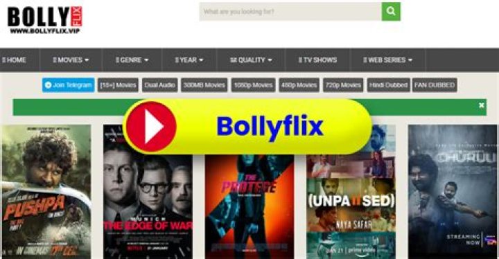 Bollyflix & Beyond: Unveiling Movie Streaming & Download Insights